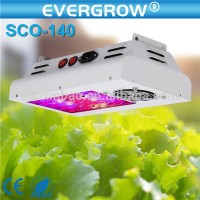 Wholesale SAGA SCO-416W Full Spectrum LED Grow Light Panel Kit Grow Faster And Bigger For Plant from China