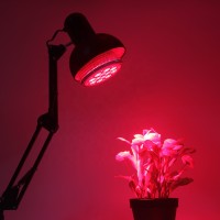 High lumen 36W flower led grow light PAR LED Grow Light high power led grow light E27 led grow bulb